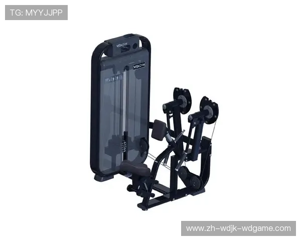 提踵健身器材使用技巧及训练效果分享