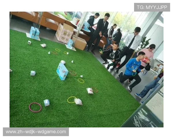 黑黄风暴来袭大黄蜂功能性健身器材开箱测评 黑黄风暴来袭大黄蜂功能性健身器材开箱测评